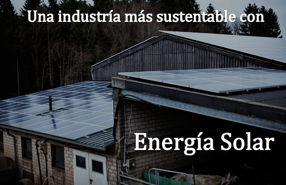 Paneles solares en Zamora para Ganadería y Agricultura